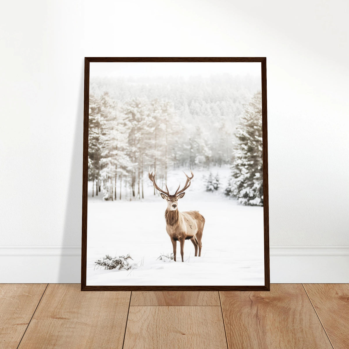 46d94b79-63a0-40d7-9900-e023d88c3499