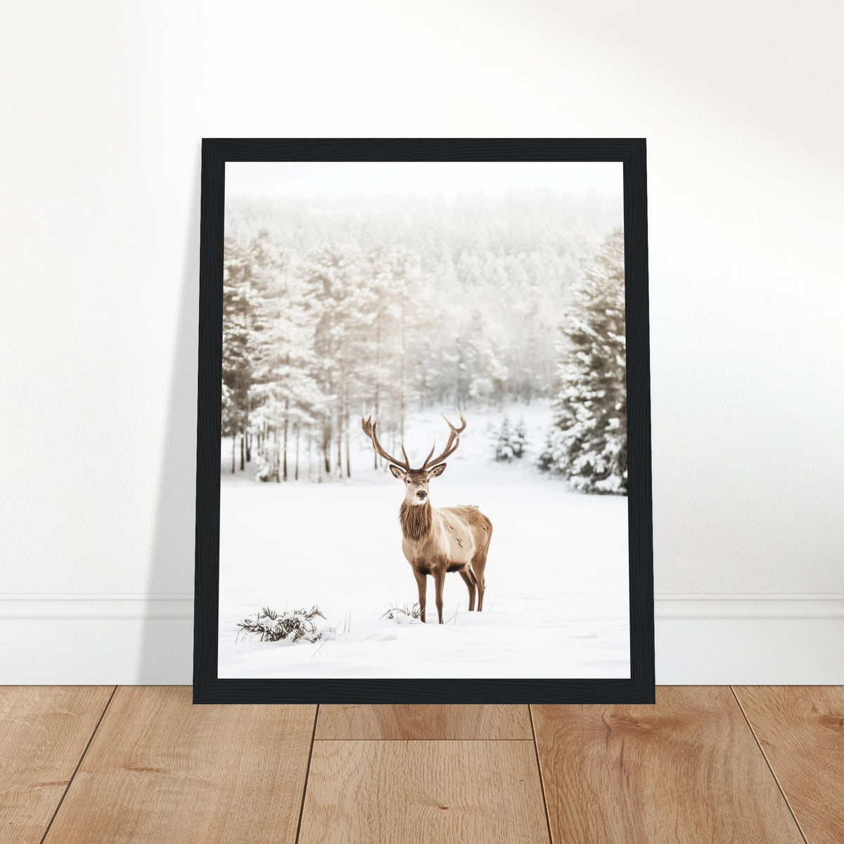 61d92472-12e6-40cb-904d-078acb300c32