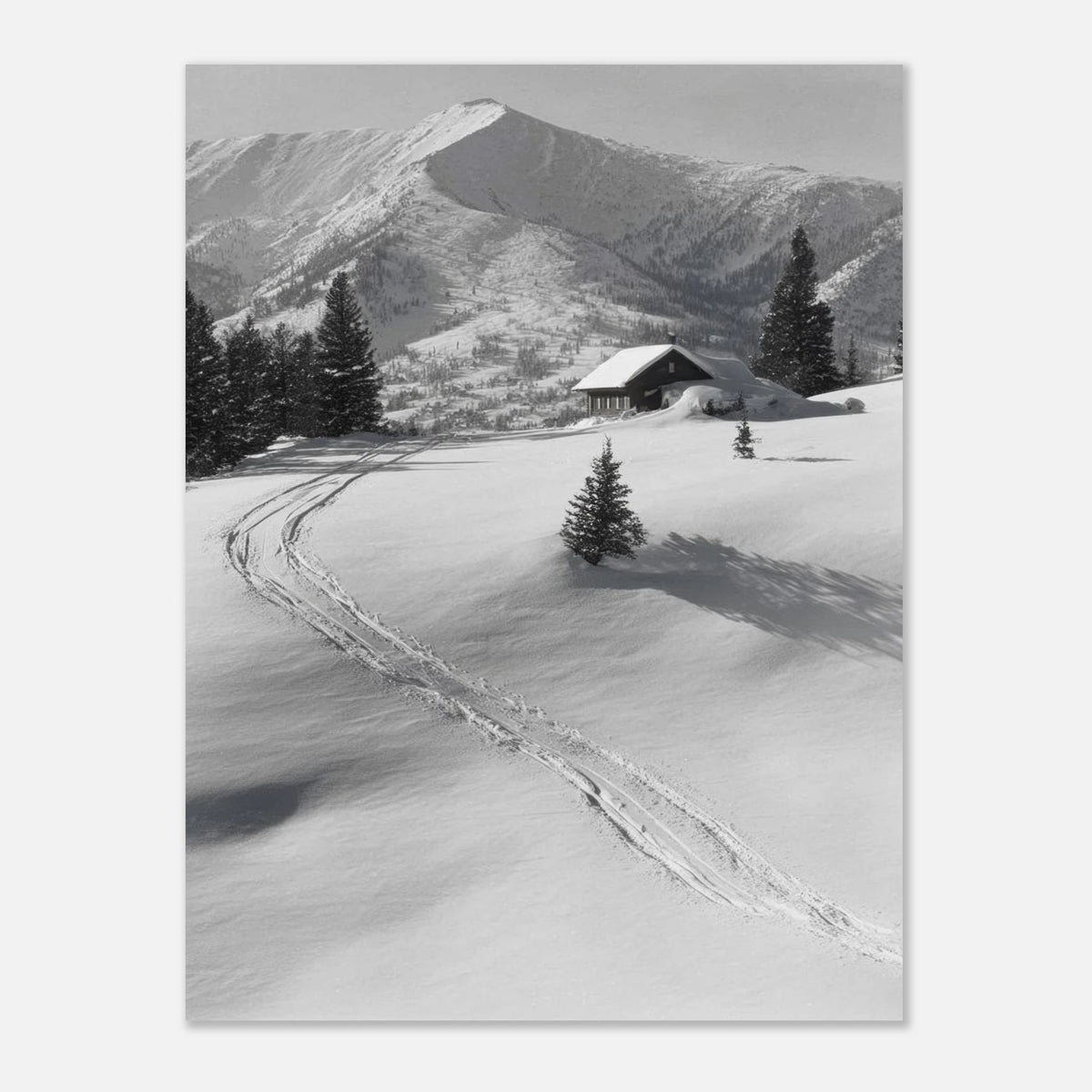 8f4d3cd5-b167-45b1-bca8-1a76c143f53b