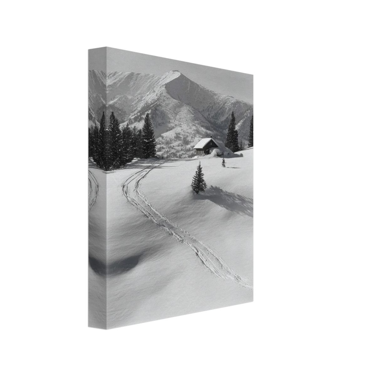 b503235d-00bb-4b6a-8b32-9f737742f46e