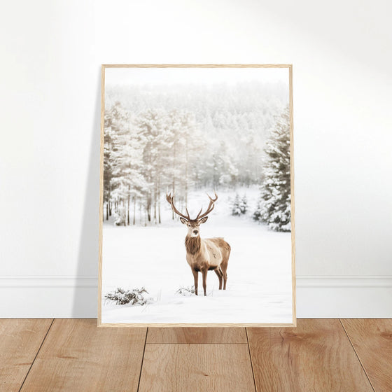 12b0ddac-9214-444d-9287-359912022318