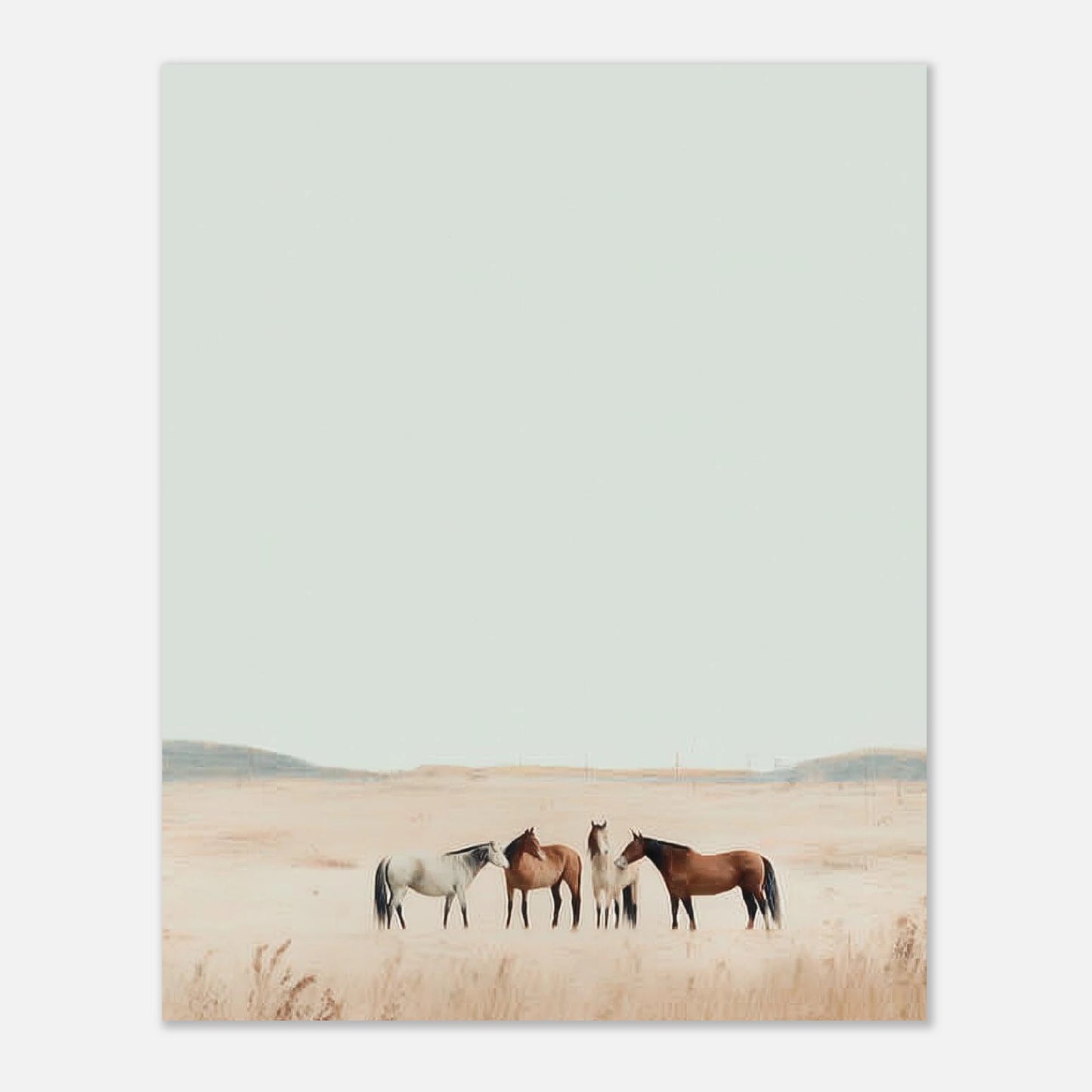 859206d5-c98a-46c7-848d-a506e7a23824