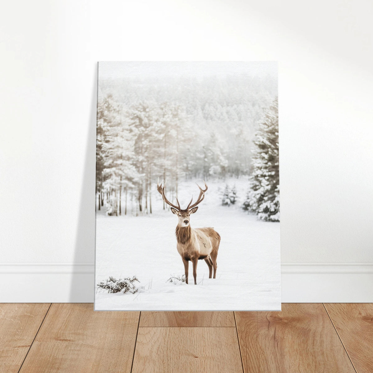 abdcf55d-aad2-46ff-9e1a-3747575a10e8