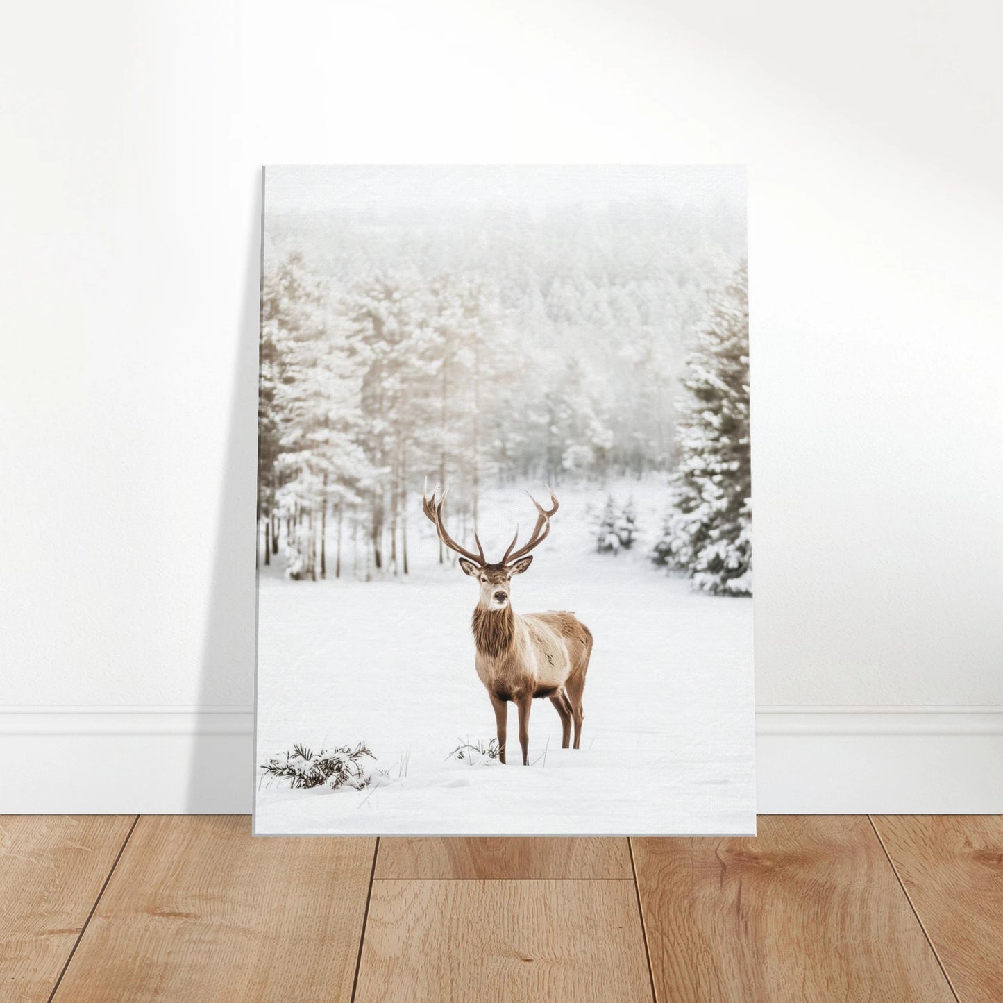 abdcf55d-aad2-46ff-9e1a-3747575a10e8