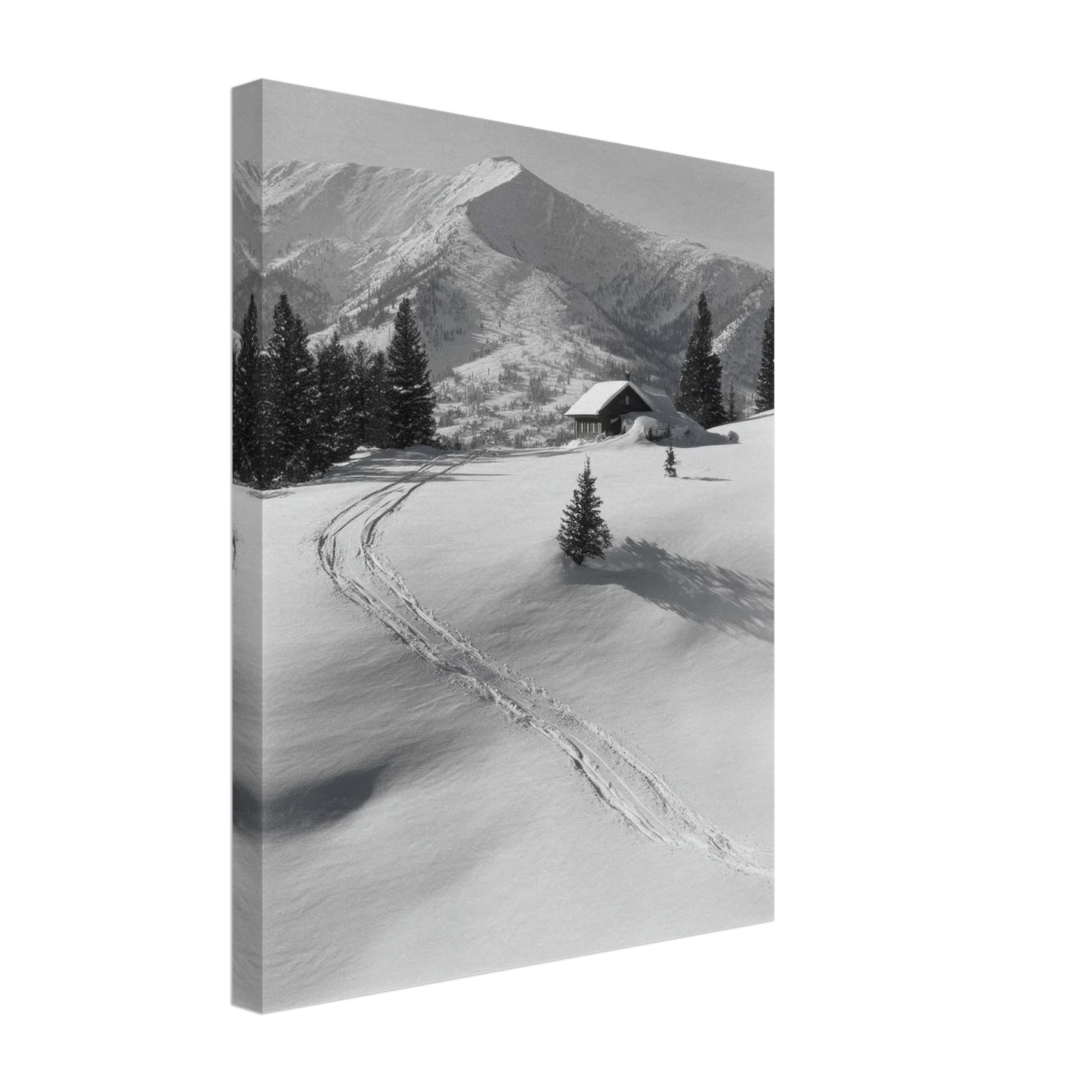 c3d7a24a-2b9d-47bf-8cc6-aa7f25eb363a