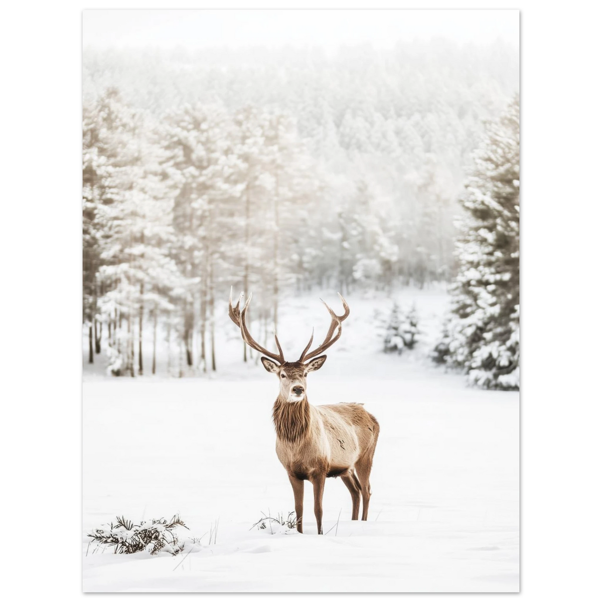 cbc018a1-5916-43e0-83ec-accd86c52889