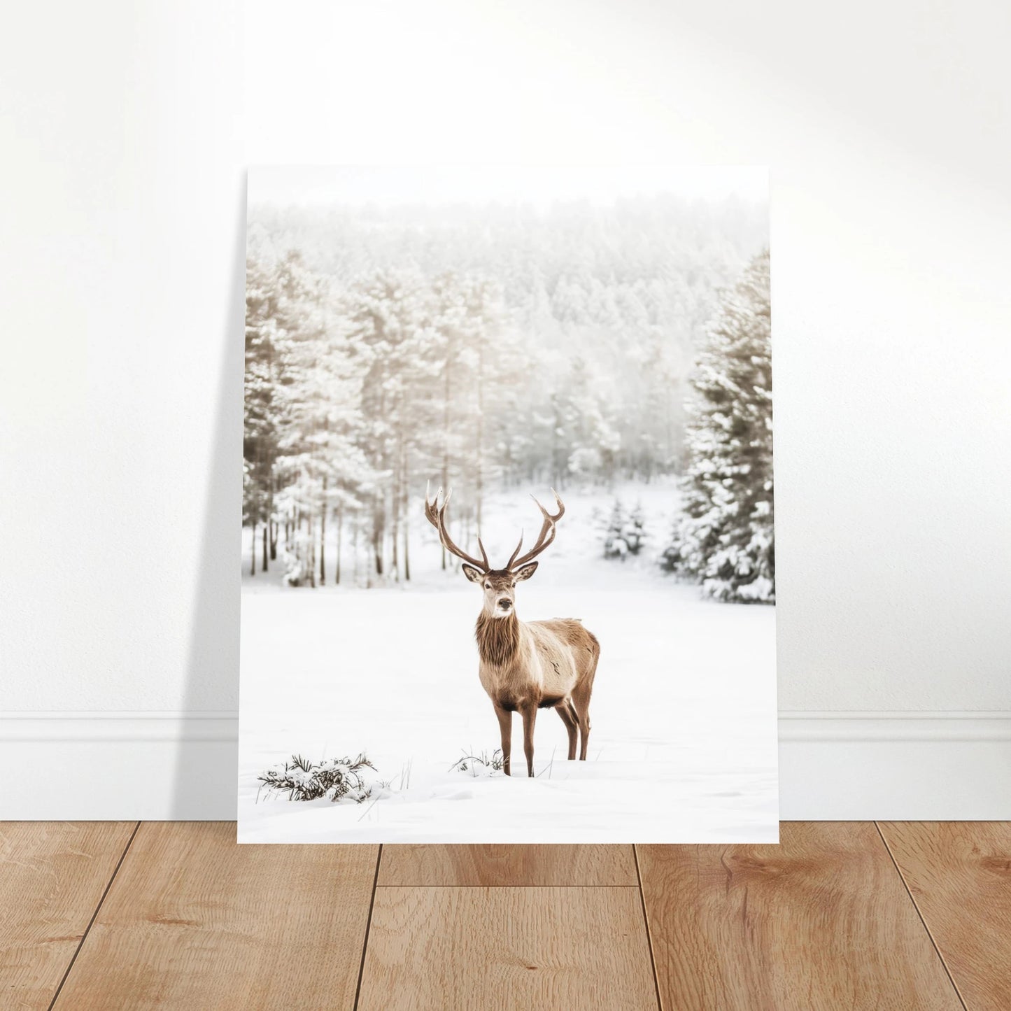 d1fe9f6f-3f19-4041-9e82-27eeab6f53d7