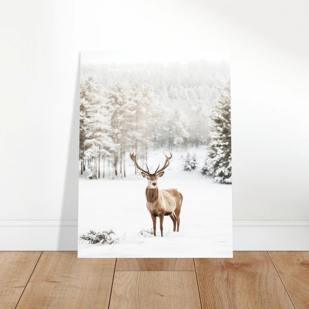 d3912126-87df-4047-9105-833d6ee77c5b