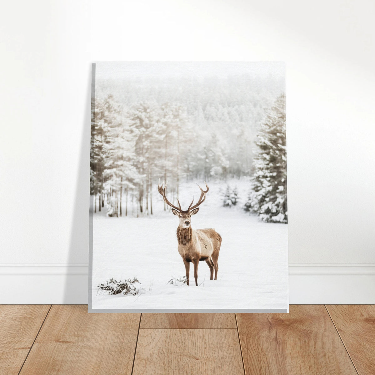 d8949dfe-1aa3-4683-be43-1cb6169324b0