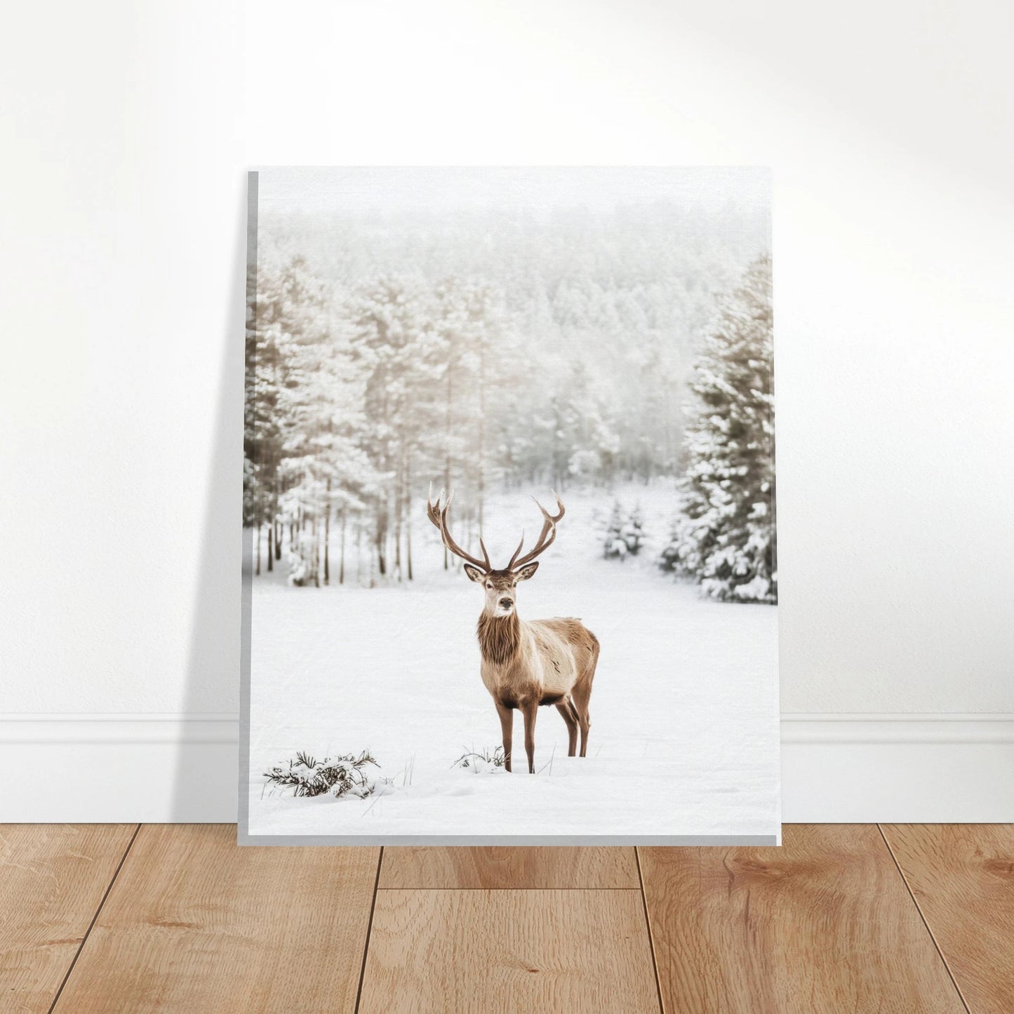 d8949dfe-1aa3-4683-be43-1cb6169324b0