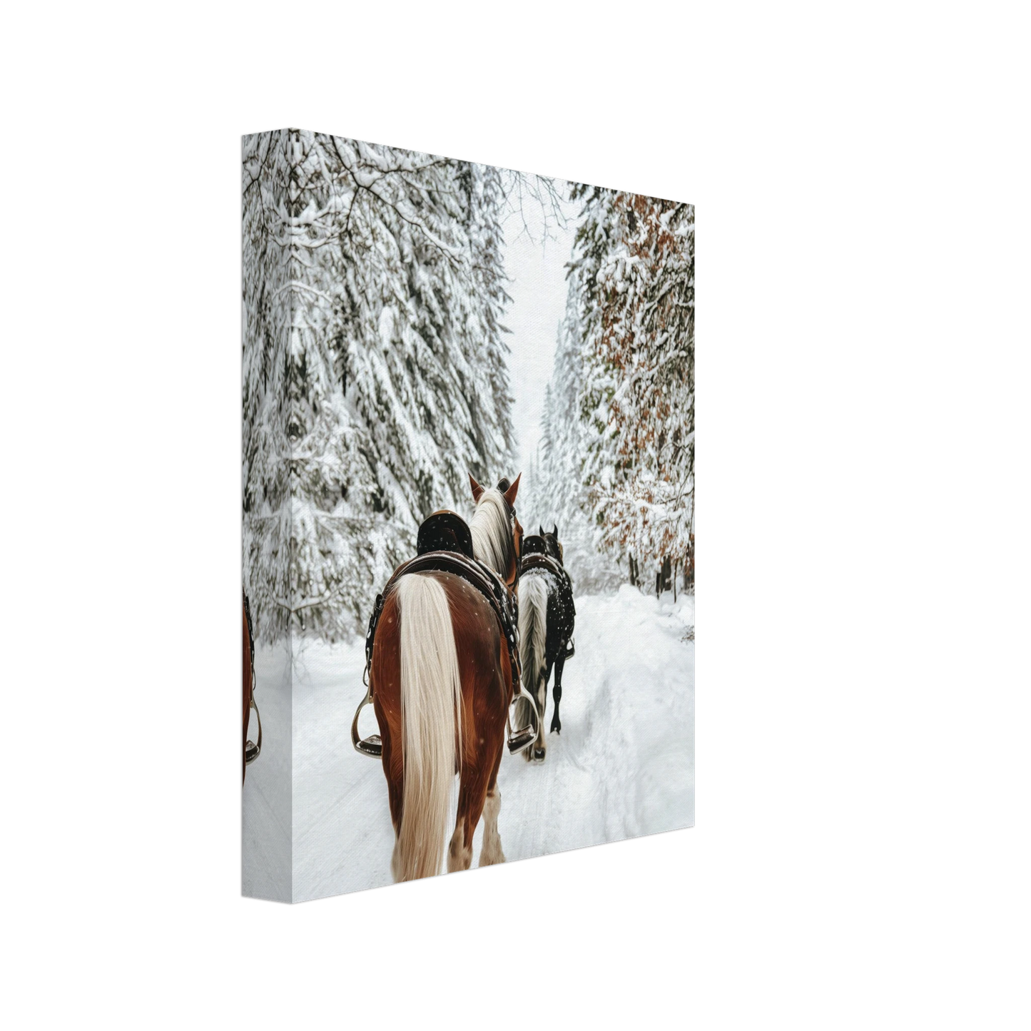 ed246d29-7eeb-45f6-bf86-c3d7ab024154