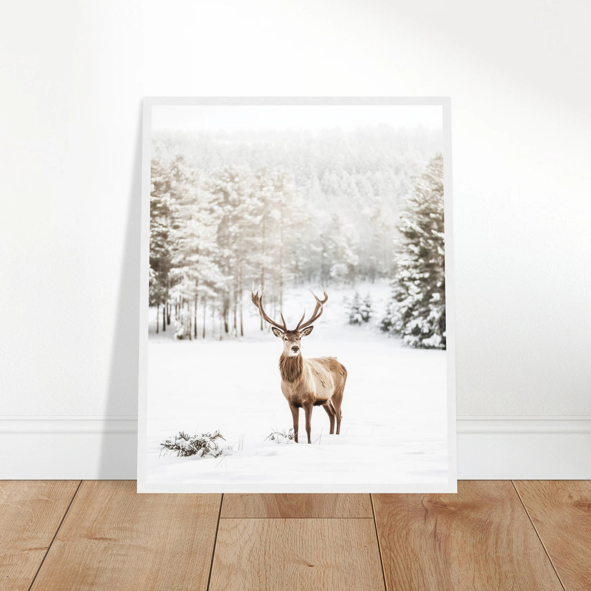 fe1a4598-2d9a-48e7-9af5-506584d4db11